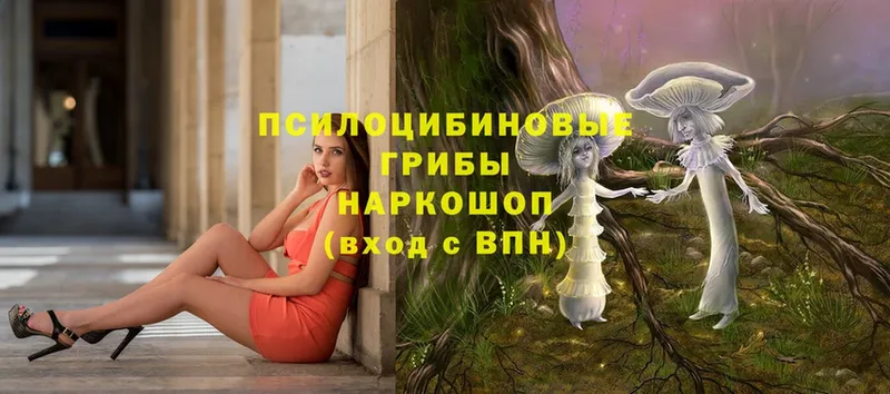 blacksprut ссылки  где найти   Саки  Галлюциногенные грибы MAGIC MUSHROOMS 